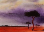 Kalahari, Namibia